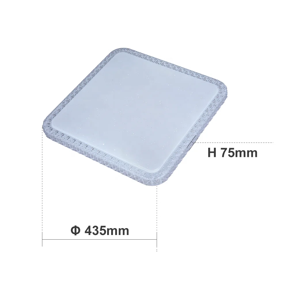 Remote Control 5000K LED Ceiling Light Flush Mount 36W 2880LM Round LED Ceiling Lamp for Kitchen bedroom hallway Stairwell