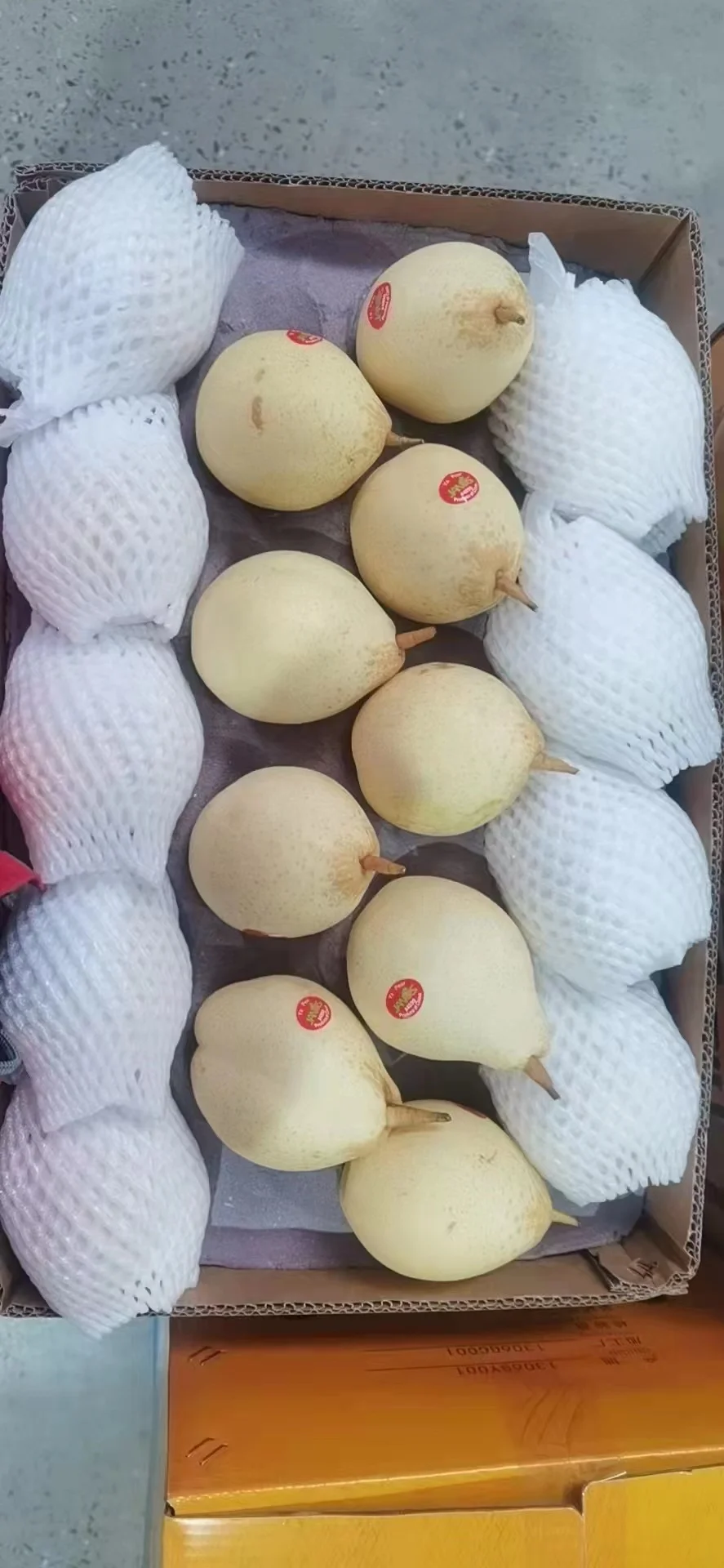 Chinese Fresh fruit Yellow Ya Pear from ya pear garden