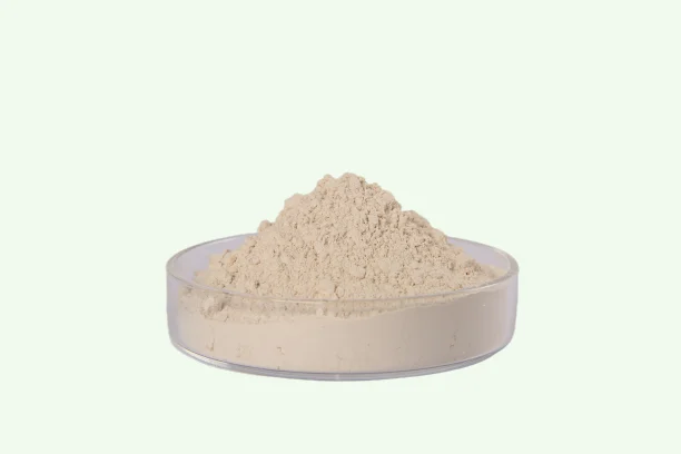 Factory supply top quality serrapeptase enzyme