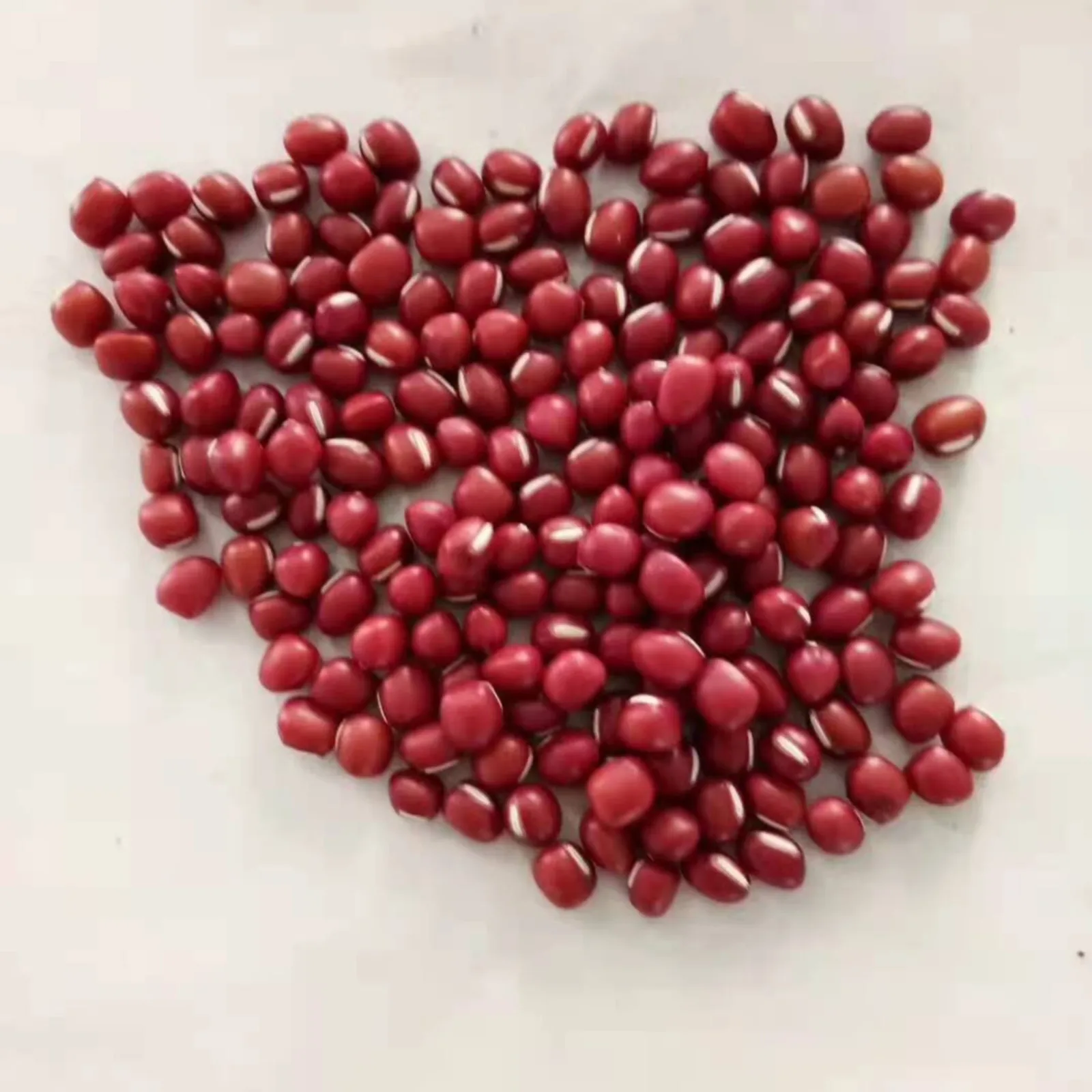 
 Высококачественные маленькие красные бобы adzuki beans для большого размера  