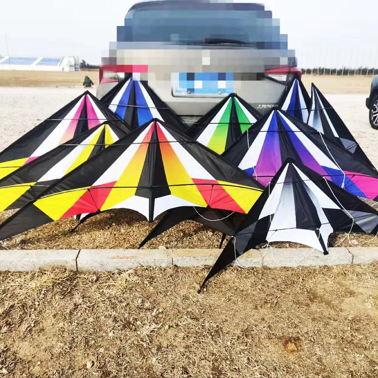 Factory Dual Line Power Kite Sale Sport Flying 2.4m Lanyork Magic Modern Deign Dual Line Stunt Kites
