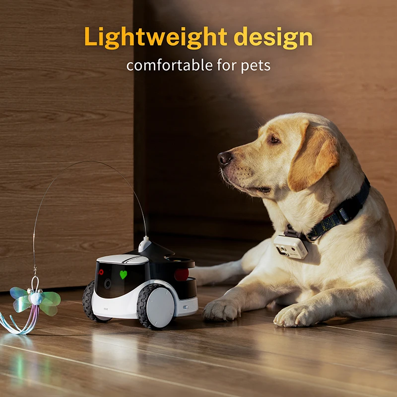 Low MOQ Pet smart Camera Tracker Advanced Multi-Functional pet  4G GPS tracker Collar Camera for Dogs pet cats live videos