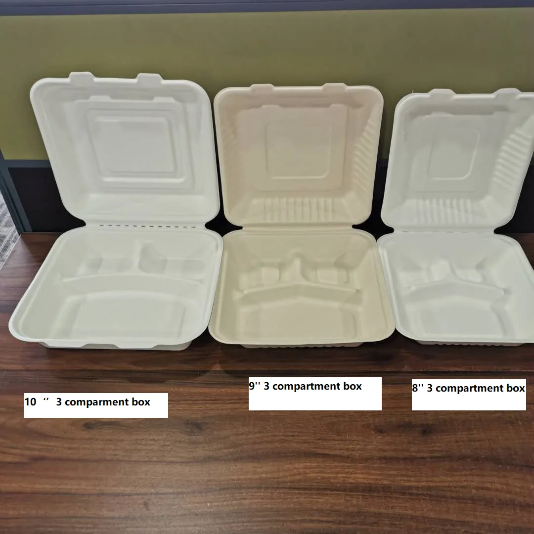 Eco compostable clamshell take away food containers 3 compartment disposable biodegradable sugarcane bagasse lunch box