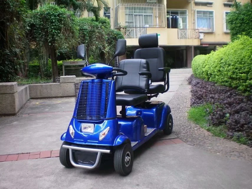 
Europe popular twin double two seat electric mobility scooter for tourist and resorts parks 