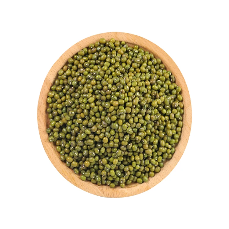 Direct Wholesale Good Quality Rotundity Mung Bean Round Green Beans