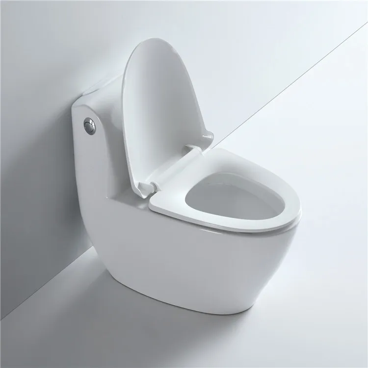 Porcelain Sanitary Ware Inodoro Floor Mounted Commode Bathroom Wc Siphonic Flush One Piece Toilet