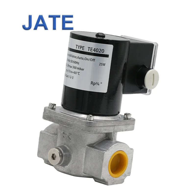 JATE TE4020 Solenoid Control Valves The Electromagnetic Valve for Gas Burner Parts Black Normal Temperature General 220V/110V AC