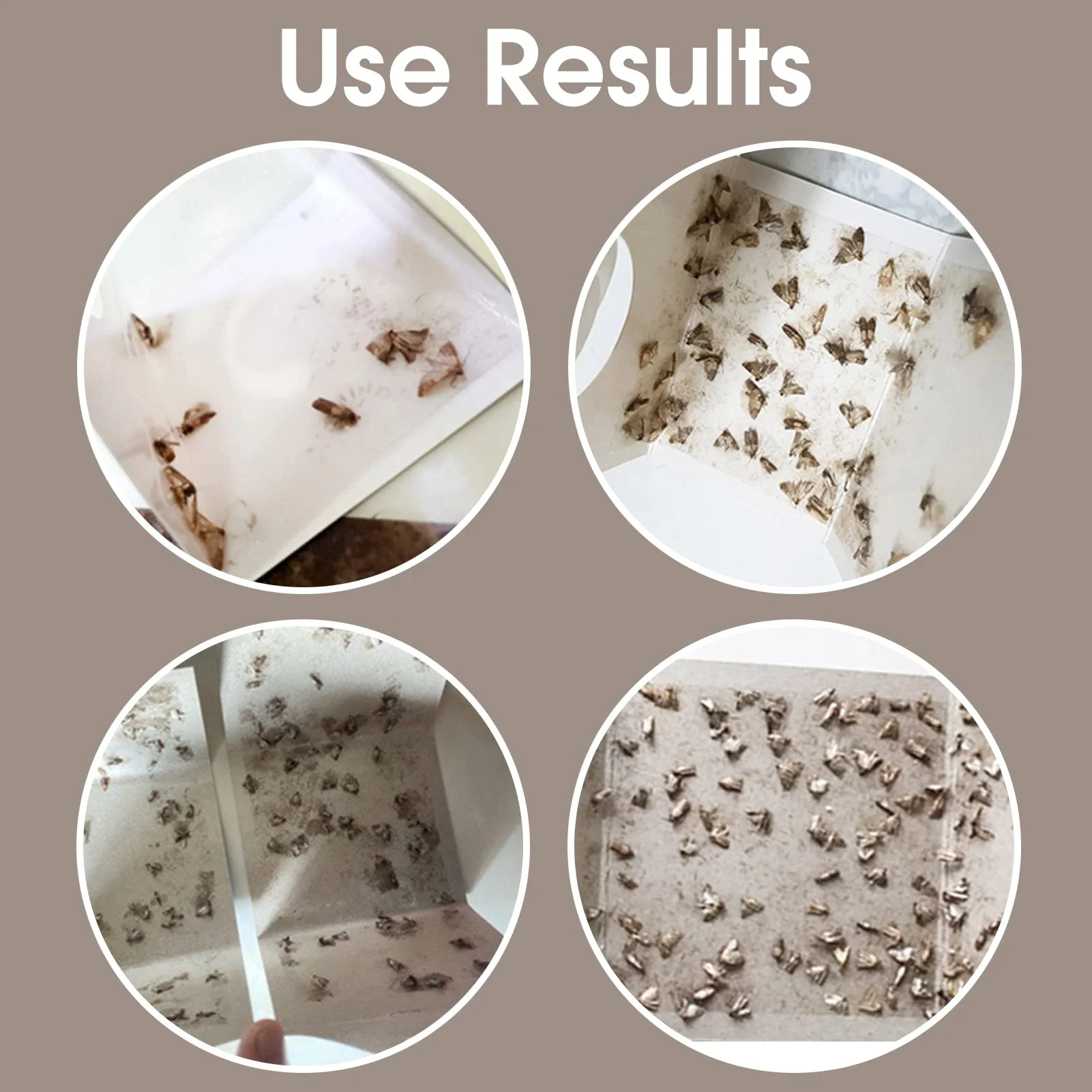 high-efficiency Pantry Moth Glue Trap OEM Moth Trap