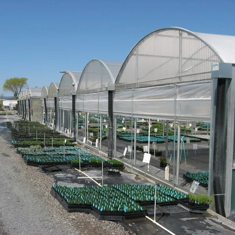 
single-span greenhouses to multi-span greenhouses and other greenhouses price Elliptical tube skeleton 