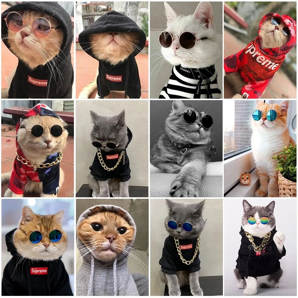 New 5D Diamond Embroidery Full Round Embroidery Stylish Cool Cats Diamond Mosaic Painting DIY Home Decoration