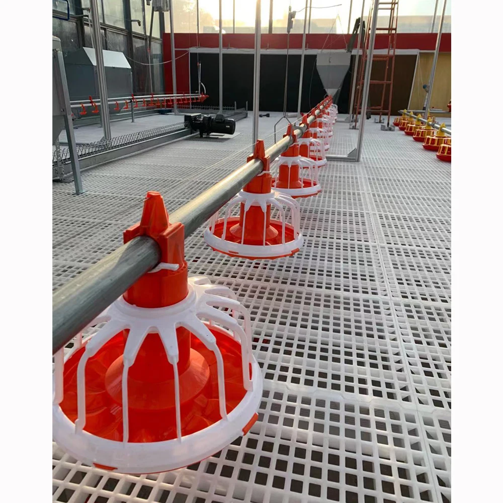 
Complete Poultry Project Solution Supplier!!Poultry automatic used broiler equipment Farm Broiler Pan Feeding System 