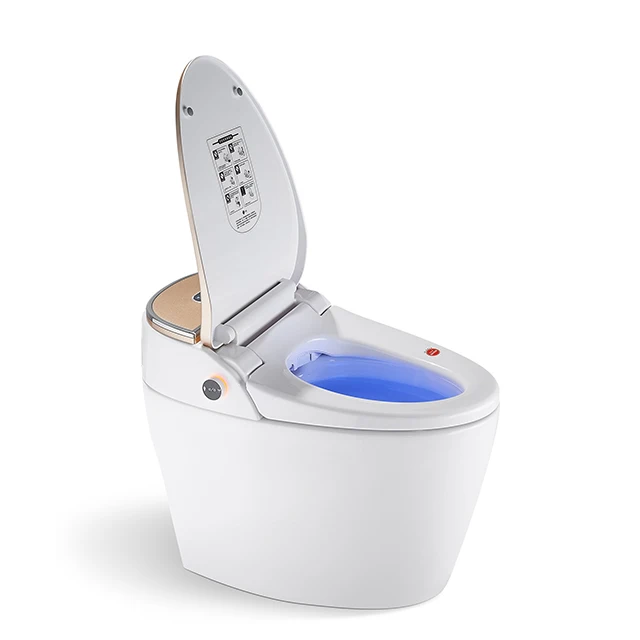 Hotel modern110V/220V bathroom ceramic floor mounted intelligent electric toilet bowl automatic bidet wc smart toilet