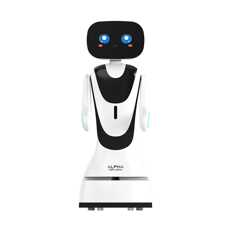 Reception Assistant Multi-functional Reception Robots For Customer Interaction Reception Robot Welcome