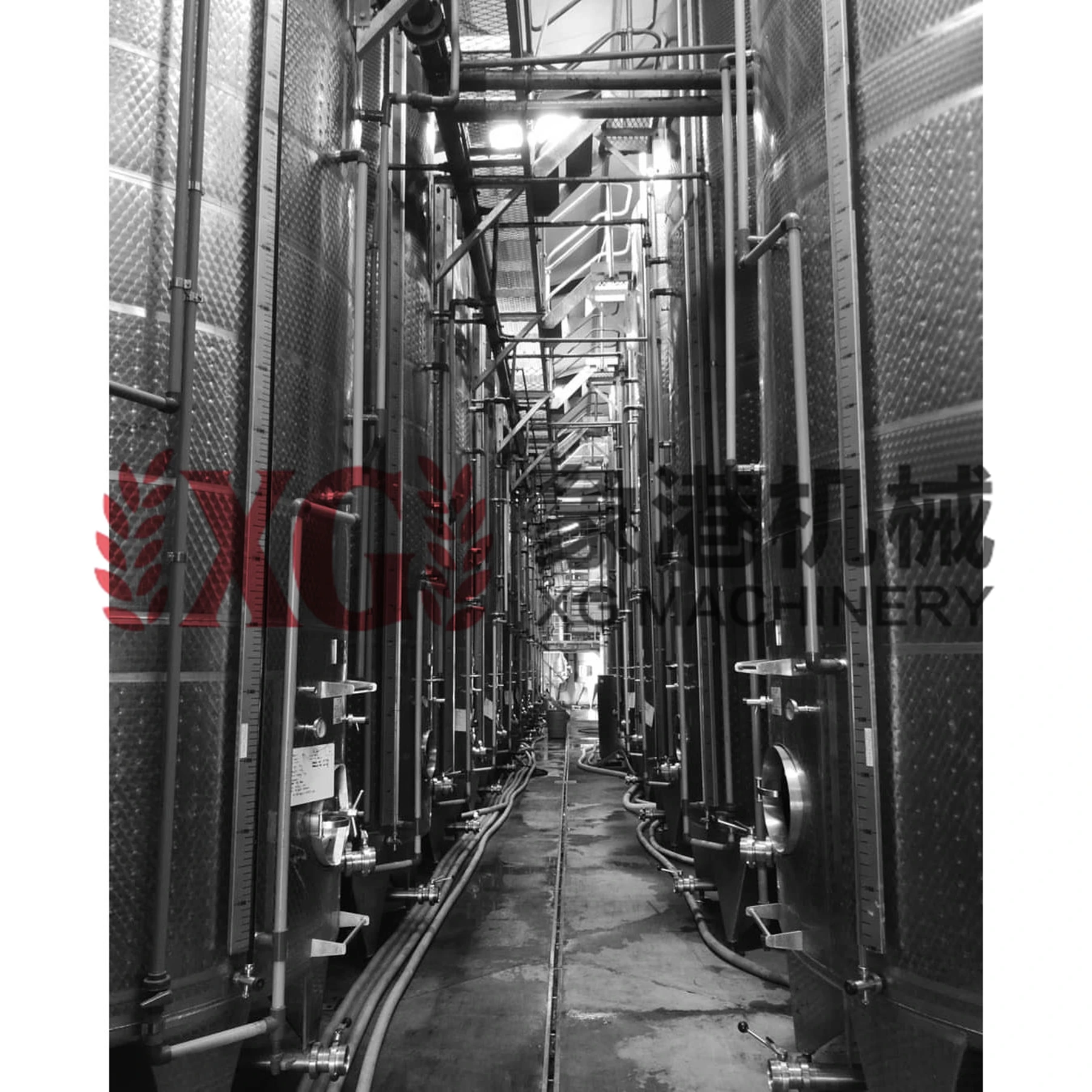 7bbl brewing system for wine and beer making 800l wine making equipment for sale