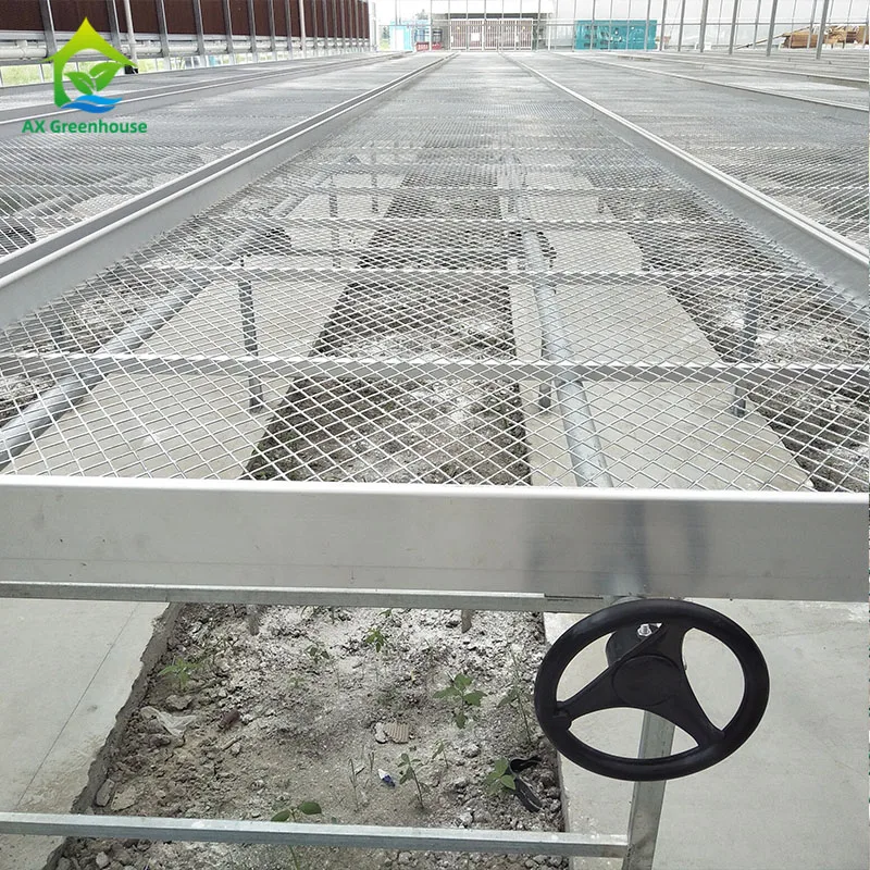 4x8 Indoor Hemp Growing Hydroponic System Movable Ebb Flow Seedling Rolling Benches Grow Table With Tray