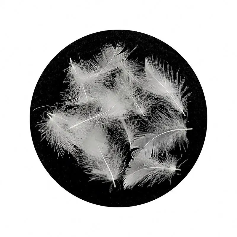  Washing Down Goose Feather Competitive Factory Price High