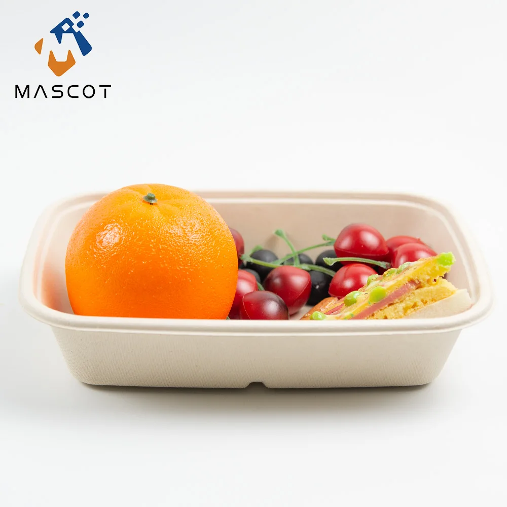 Factory Cheap Price Disposable Biodegradable Fruit Tray Bagasse Pulp Food Container Paper Food Container Tray