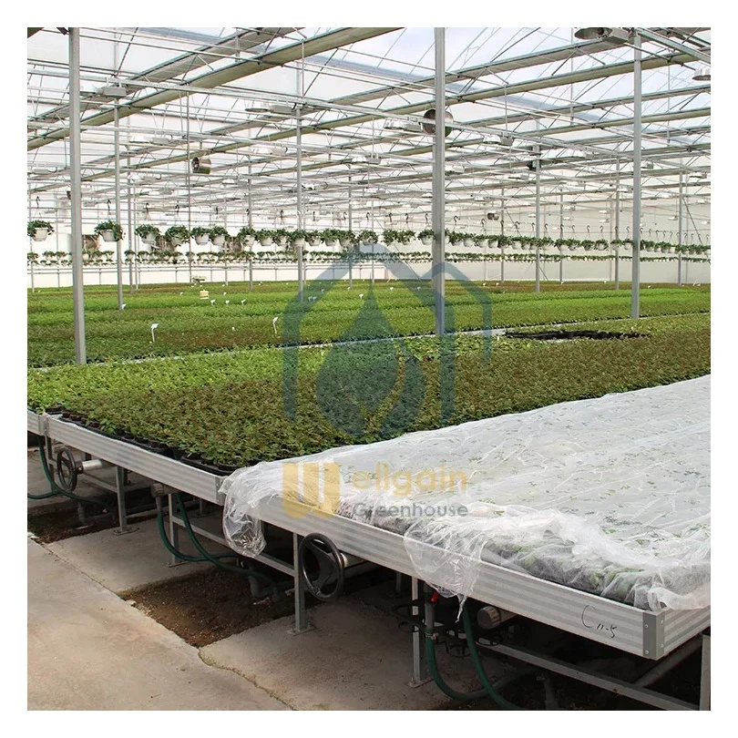 Greenhouse ebb and flow system plant nursery equipment flood tray tables hydroponic system rolling table