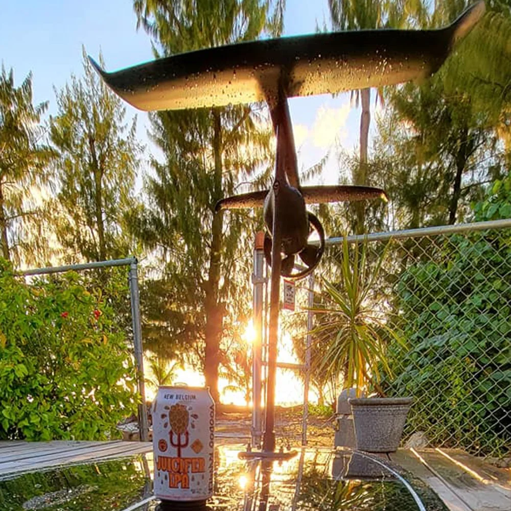 Electric Hydrofoil in Surfing