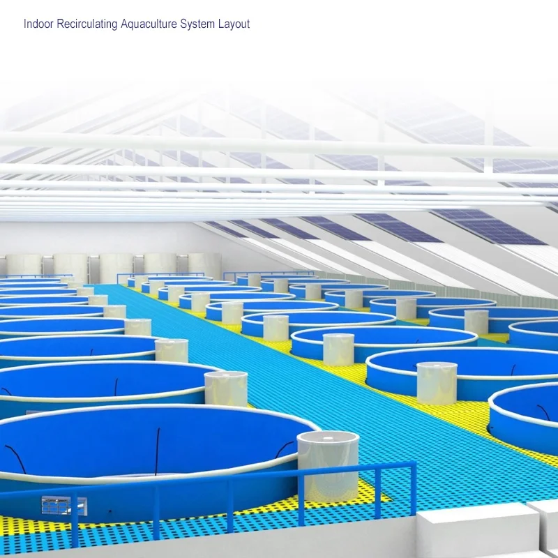 China supplier wholesale high quality mini smart fish farm system for uzbekistan