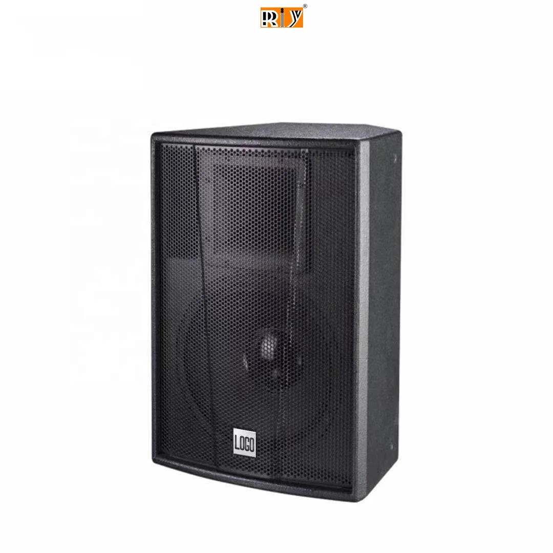 F10+ Single 10 Inch Speaker Studio Professional