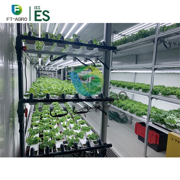40ft container hydroponic farm greenhouse  smart farm for agricultural microgreen growing