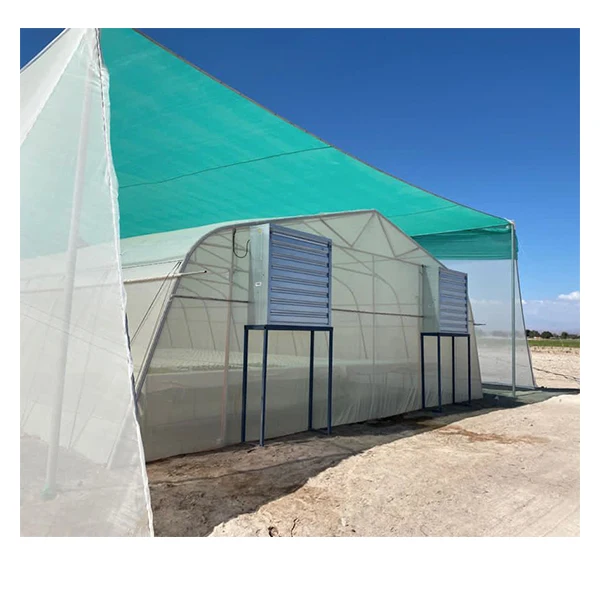 Economic hot galvanized greenhouse single span green house film vegetable greenhouse for tomato