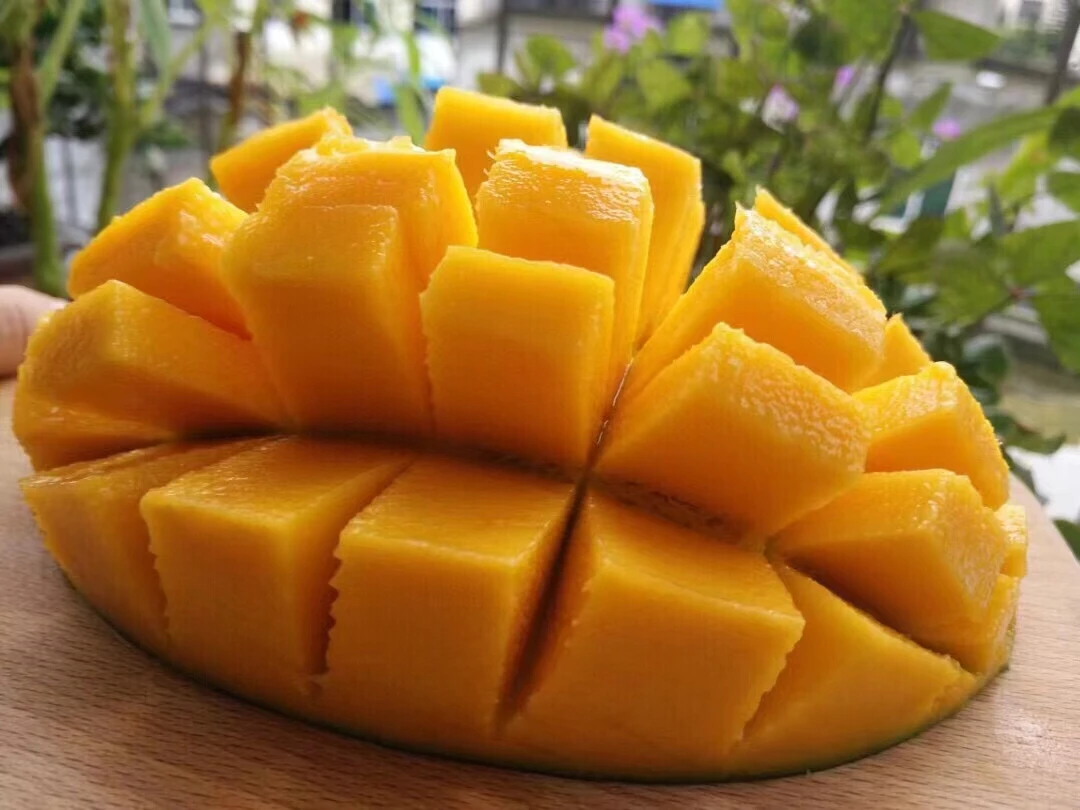 Sweet Juicy High Quality Wholesale Fresh Mango Fruit Hot Sale Seasonal Fruit from China
