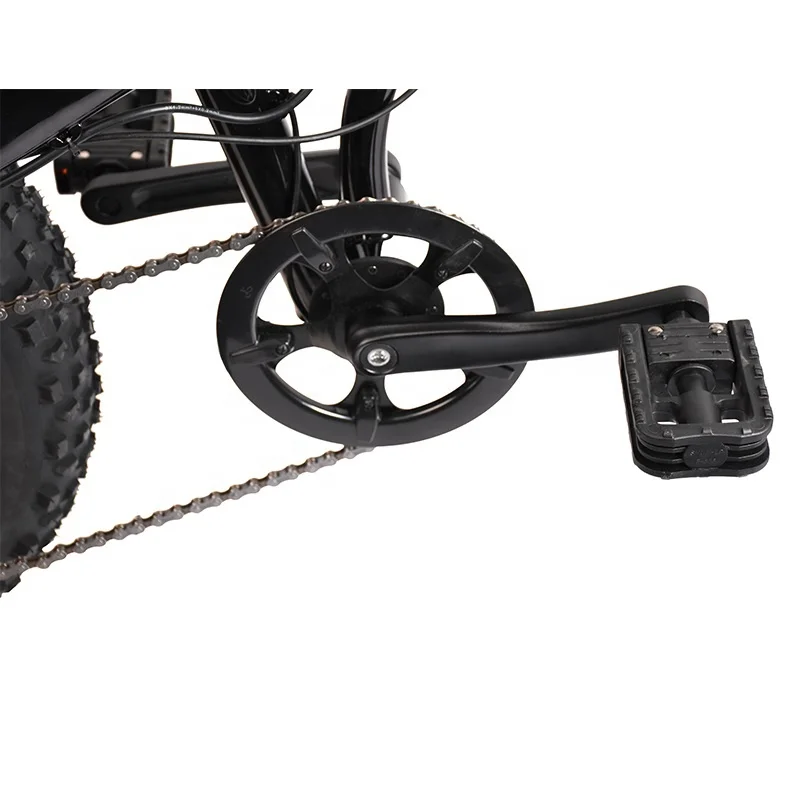 Factory direct 48V 15Ah Lithium Battery 750w 1000w 20 inch electric fat tire bike