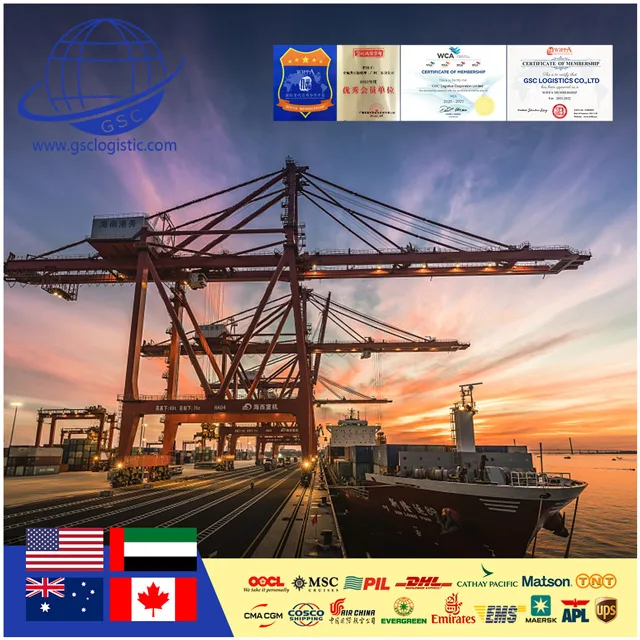 Custom Or Standard Door To Door Wholesale Ocean Shipping Agent Ddp Sea Freight Rates To Amazon Usa From China