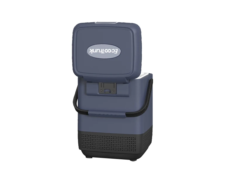 24V compressor cooler 110-240V AC for truck Van RV car Portable freezer car fridge RV 12 Volt refrigerator Car Cooler box 12L ca