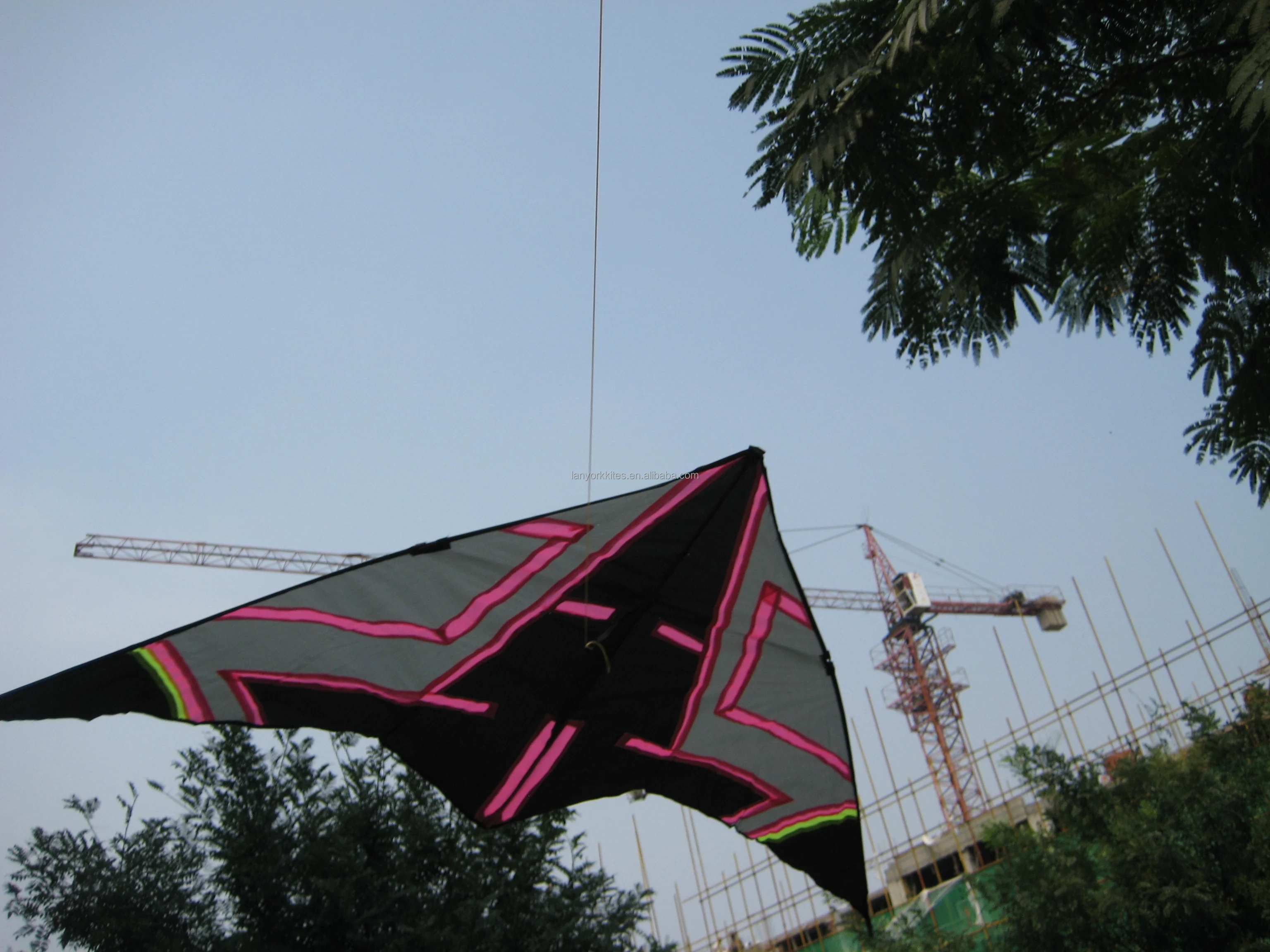 Factory Supplying Cartoon Kite Customized Color For Beach Trip