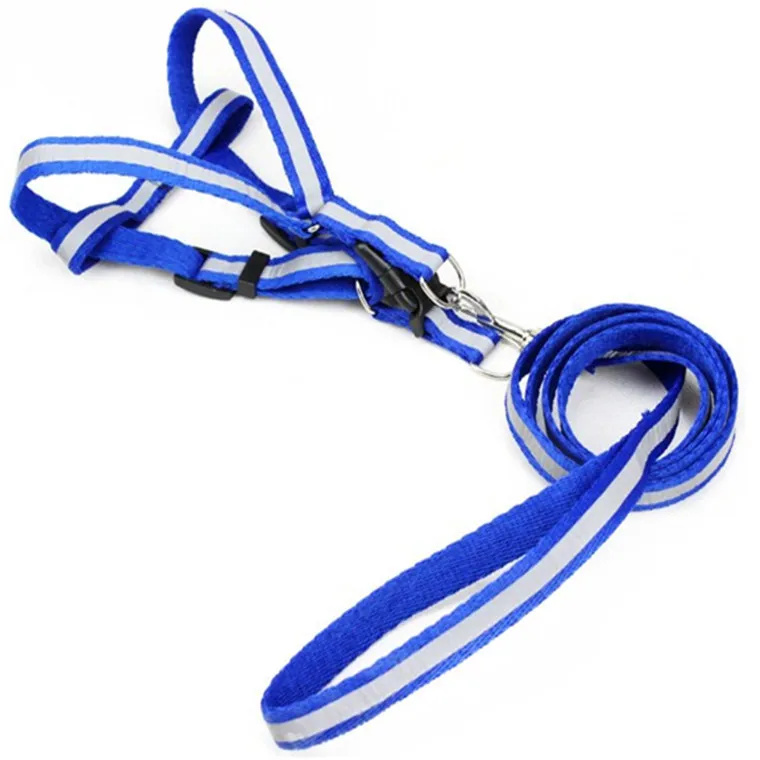 
Polyester Flat Rope Reflective Chest Back Reflective Night Reflective Leash for Small and Medium Cats and Dogs 