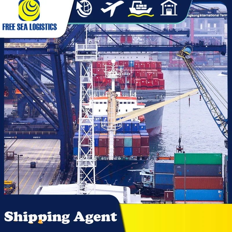 from China import export custom clearing agent provide usa uk canada customs clearance service