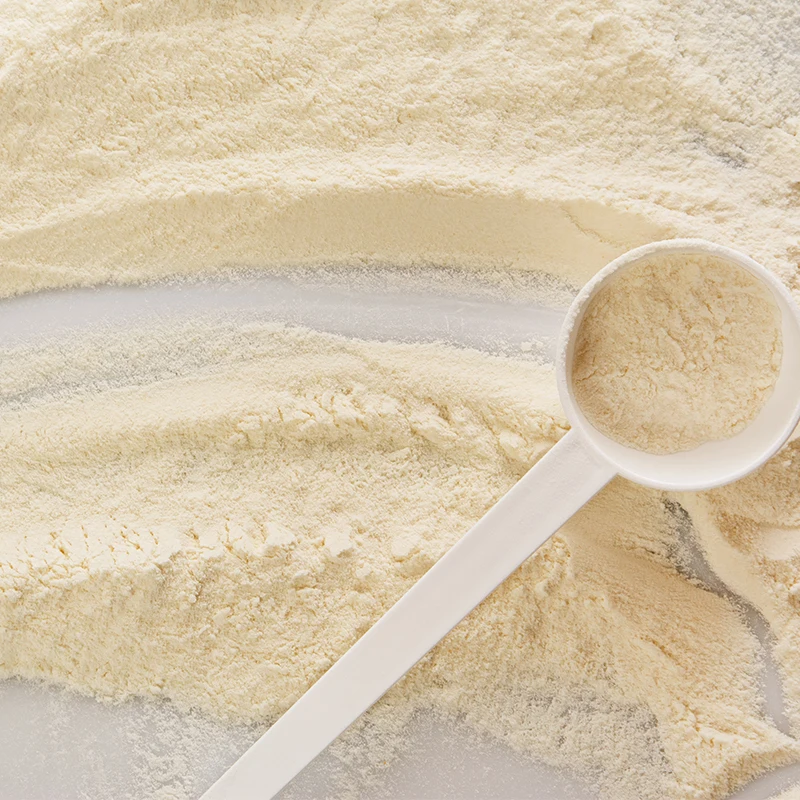 OEM Daily Probiotics Supplement Powder 10 Billion CFU with Iron Zinc Calcium Supports Immune & Digestive Enzymes