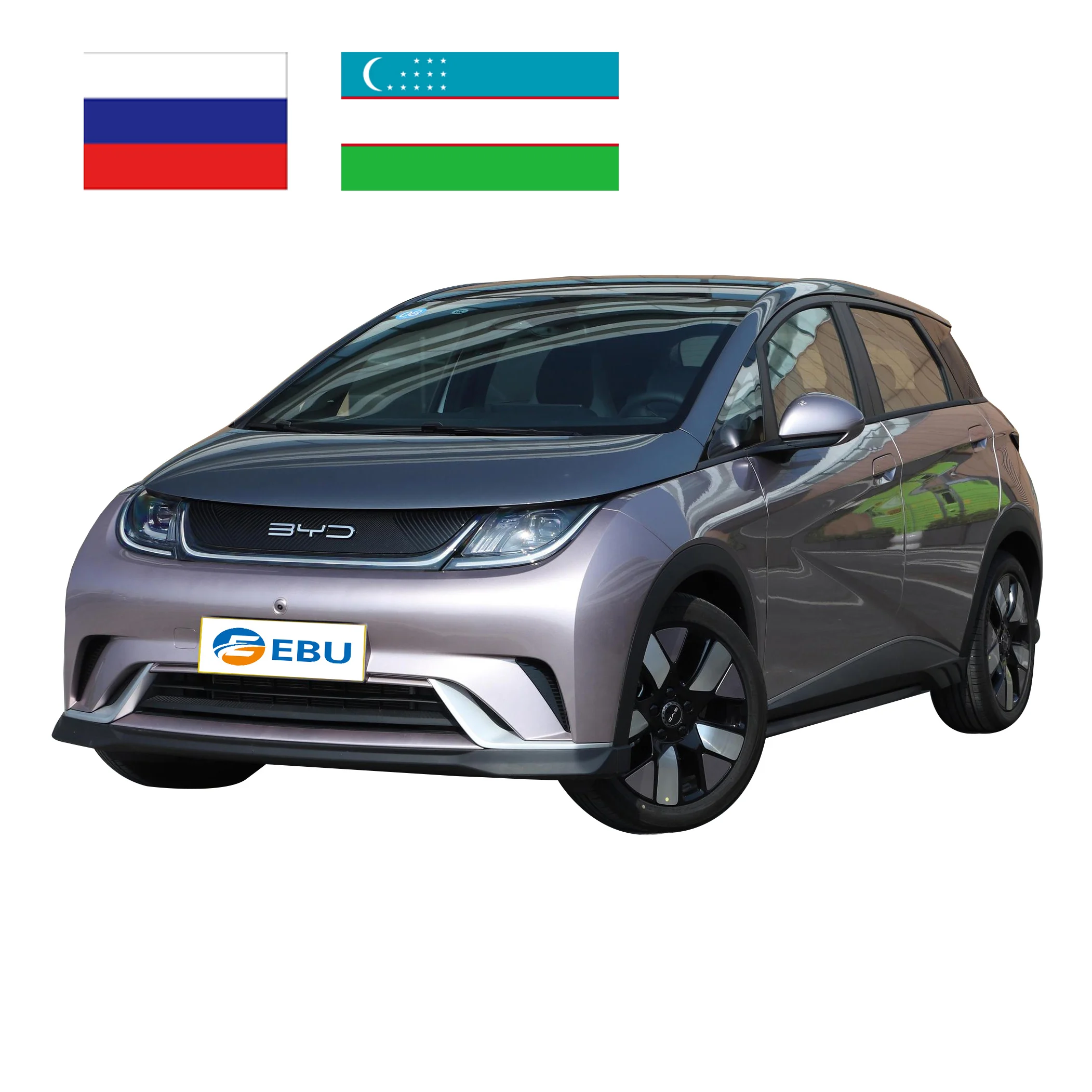 Uzbekistan Russia BYD Dolphin new electric city car High Speed Mini Electric Vehicle