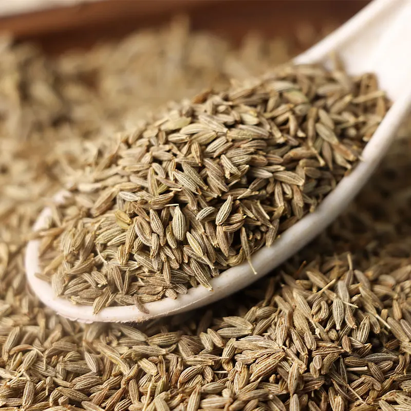 Cuminum Seeds 100% Natural Dried Cumin