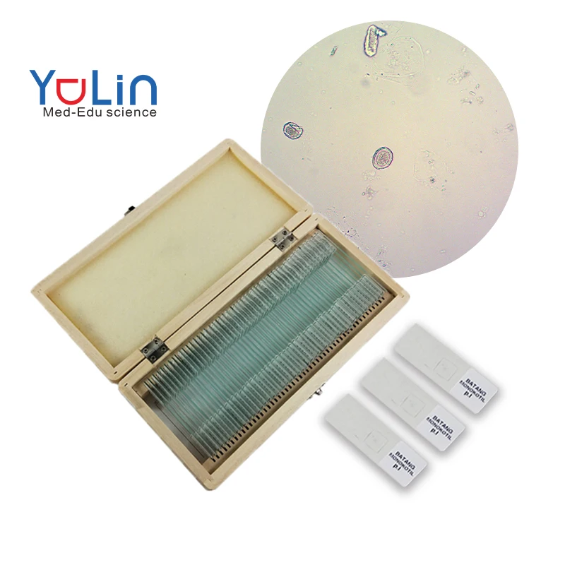 factory teaching research textbooks  microscope slides Zoology Prepared Slides microscope slides 30 pieces