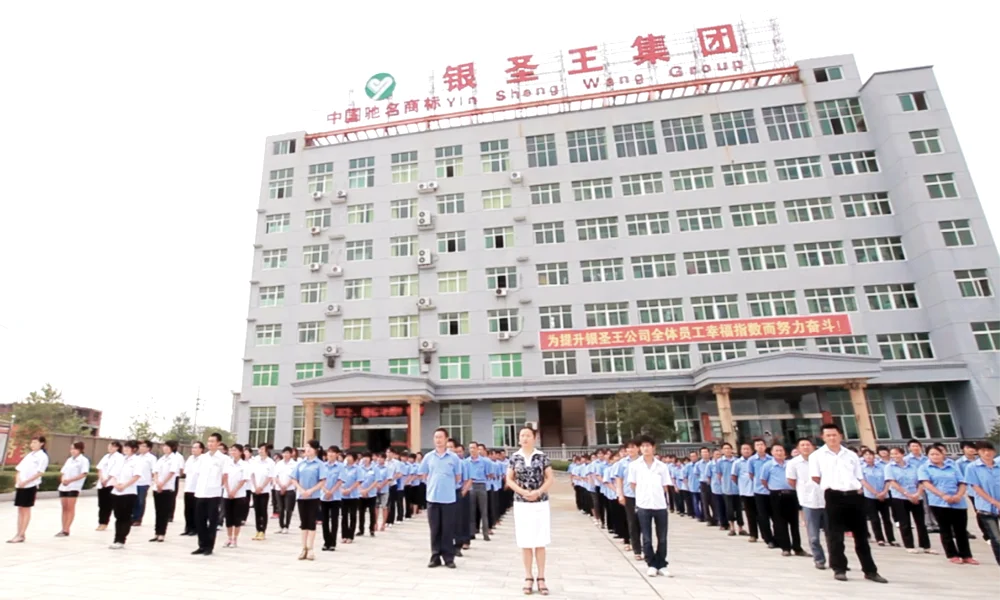 YSW Modern Bathroom Products Rain Shower System Metal Sliding Bar with 3 Function Handset and Solid Brass