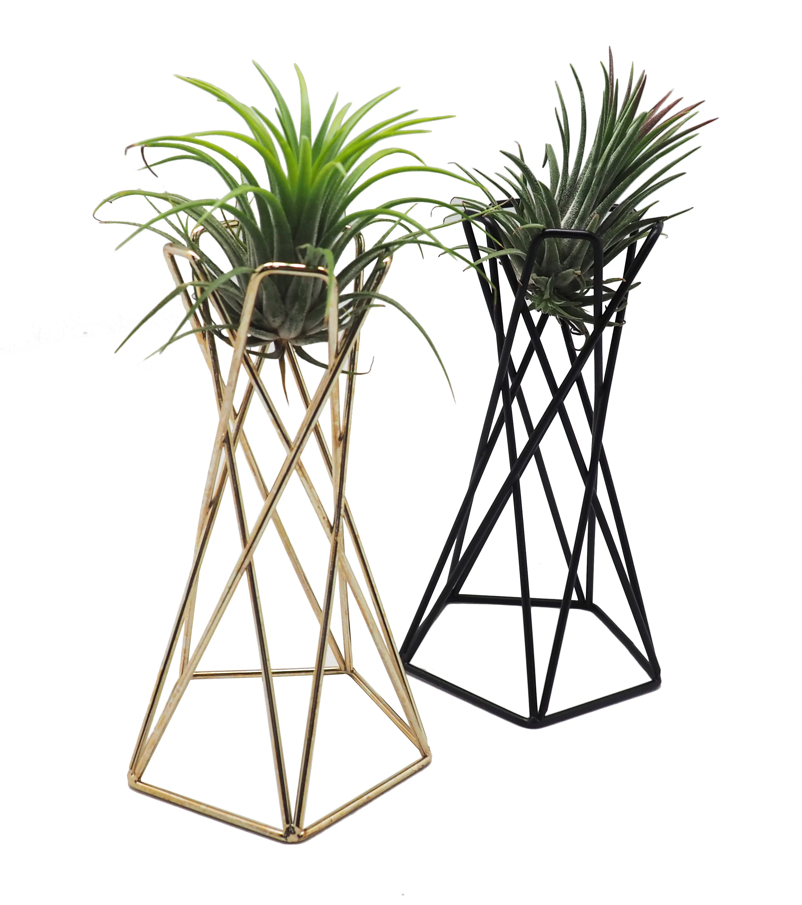 Hongxin new product  test tube flower vase gold or black for home decoration