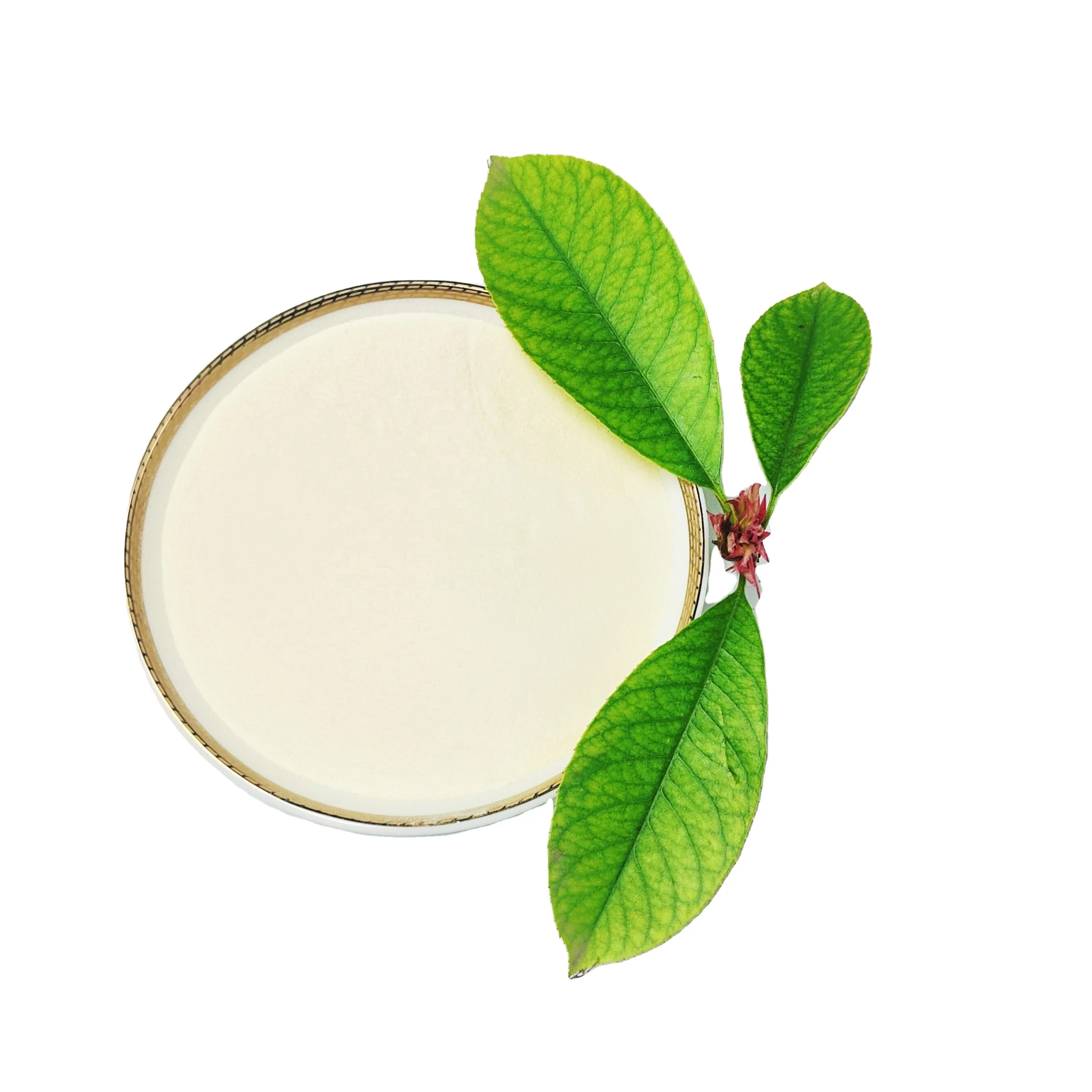  Пробиотик Bacillus Coagulans с высоким содержанием/коагуланы Bacillus/кормовая добавка bacillus пищевой