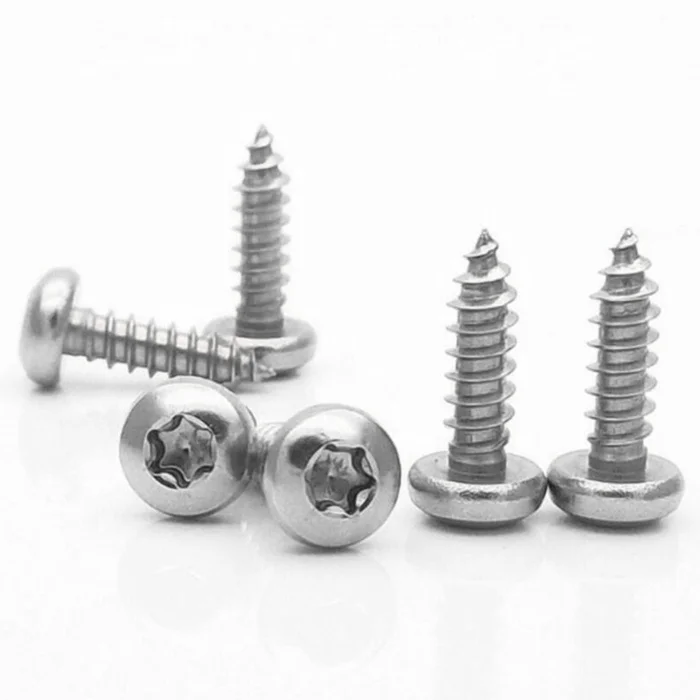 ISO 14585 SS 304 316 Torx Socket Pan Head Tapping Screws