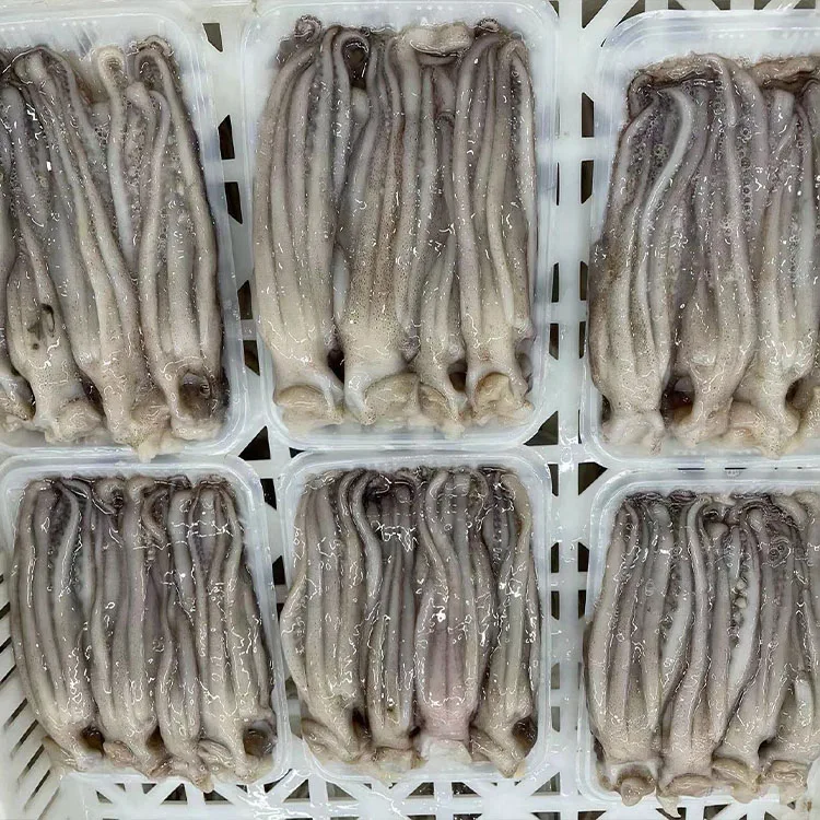 frozen squid tentacles 7