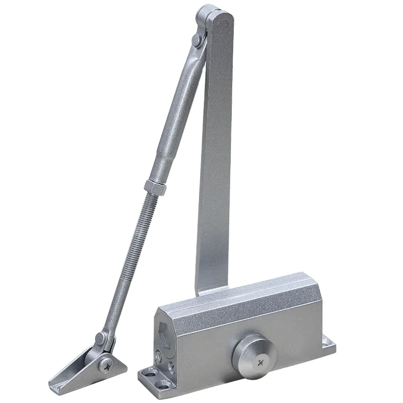 Chinese Door Closer New Product Top Quality Fire Proof Concealed Door Closer door closing professional furniture hardware
