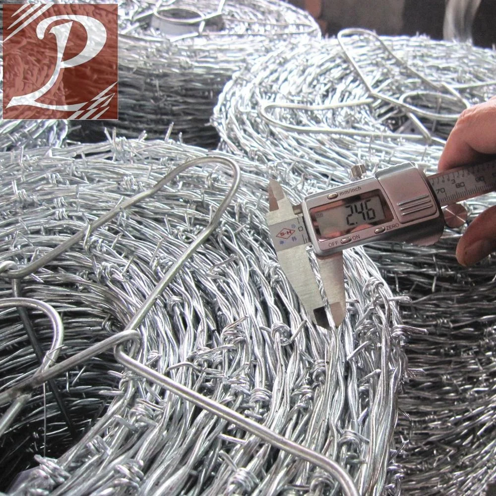 Brazil popular Galvanized barbed wire price/wire barbed