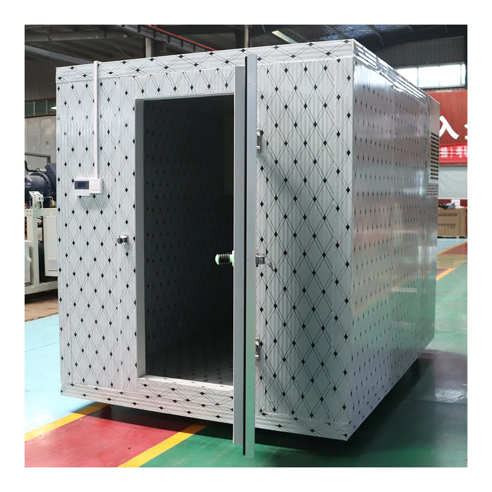2024 hot selling fruits chiller meat chicken freezer refrigeration equipment cold room