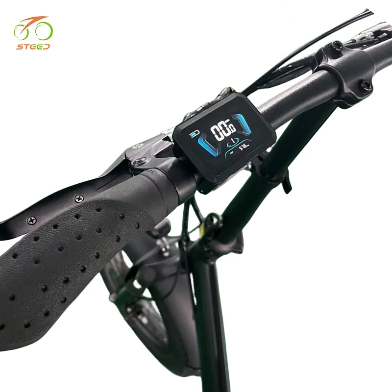 Steed 250w smart bicycle lock battery china electric bicycle price for adults electric folding bicycle