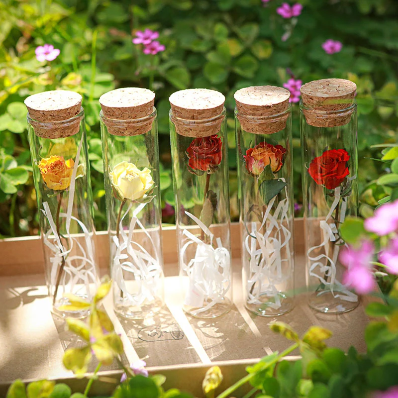 Wholesale Customized Holiday Gift Table Decoration Natural Real Drid Flowers in Glass Tube