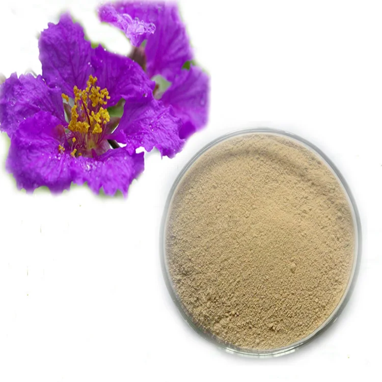 good price Banaba LEAF  extract corosolic acid 1% 2% 3% 10%-60%