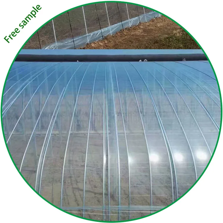 200 Micron Polyethylene UV Resistance Cheap Transparent Plastic High Tunnel Greenhouse Cover Material Film For Agricultural